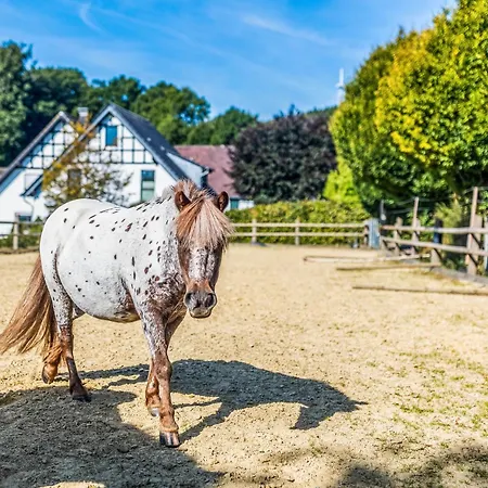 Blockhaus 2 Σπίτι διακοπών *