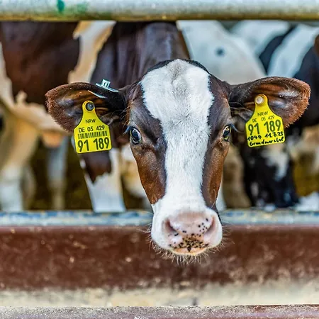 Σπίτι διακοπών Blockhaus 2
