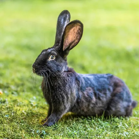 Blockhaus 2 Σπίτι διακοπών Eslohe