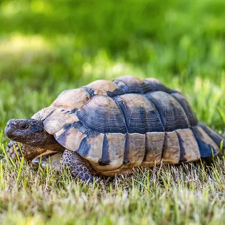 Σπίτι διακοπών Blockhaus 2