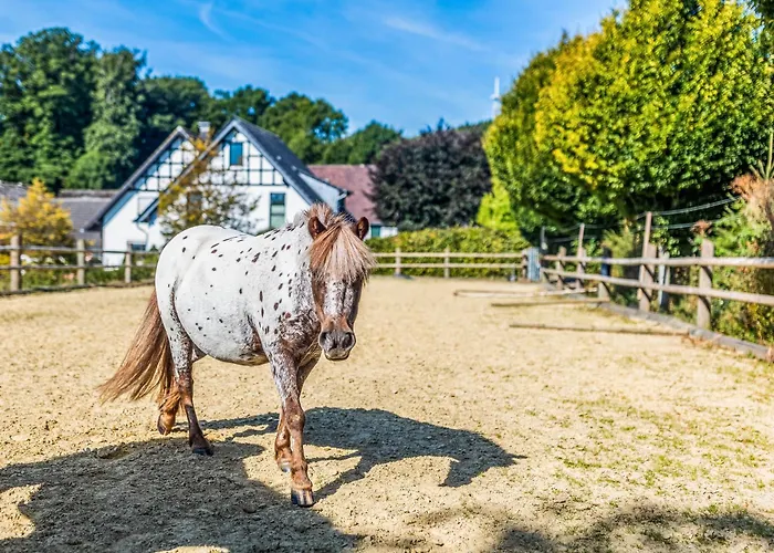 Blockhaus 2 度假居 *